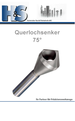 Querlochsenker 75 Grad